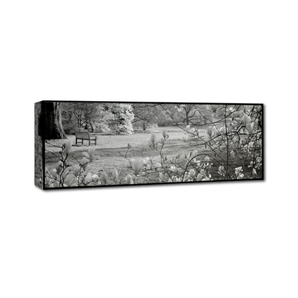 Alan Blaustein 'Hampton Magnolia I' Canvas Art,10x32